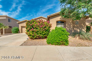 3600-S-NEBRASKA-Chandler-AZ-85248
